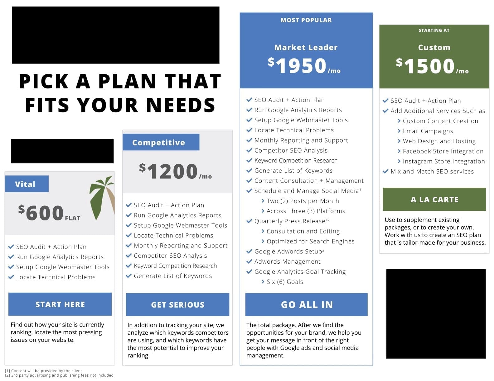 picture of seo plans examples